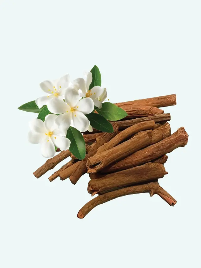 Trikatu (Pippali, Kali Mirch, Sunthi)