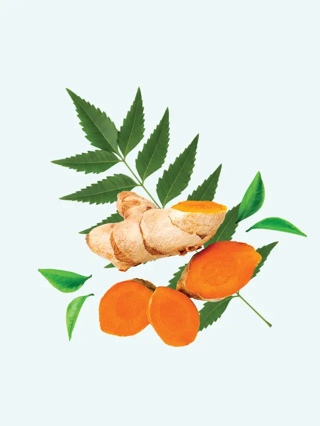 Neem & Haridra (Turmeric)